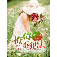 《名门独宠，撩你不犯法（全集）》[53M]百度网盘|亲测有效|pdf下载
