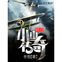 《抗日小山传奇（三）》[32M]百度网盘|亲测有效|pdf下载