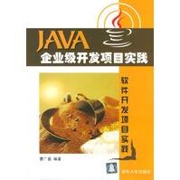 《Java企业级开发项目实践》[33M]百度网盘|亲测有效|pdf下载