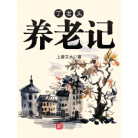 《丁老头养老记》[34M]百度网盘|亲测有效|pdf下载