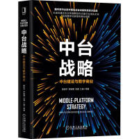 《中台战略 中台建设与数字商业 》[31M]百度网盘|亲测有效|pdf下载