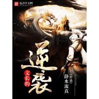《文长的逆袭》[22M]百度网盘|亲测有效|pdf下载