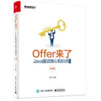 《Offer来了：Java面试核心知识点精讲王磊》[22M]百度网盘|亲测有效|pdf下载