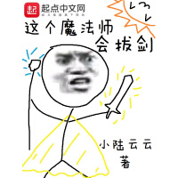 《这个魔法师会拔剑》[27M]百度网盘|亲测有效|pdf下载