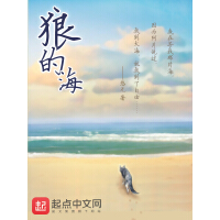 《狼的海》[44M]百度网盘|亲测有效|pdf下载