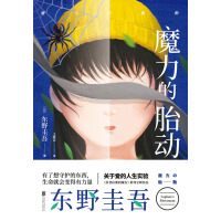 《东野圭吾：魔力的胎动》[56M]百度网盘|亲测有效|pdf下载