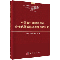 《中国农村能源革命与分布式低碳能源发展战略研究》[36M]百度网盘|亲测有效|pdf下载
