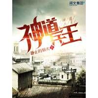 《神道兵王（九）》[41M]百度网盘|亲测有效|pdf下载