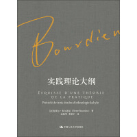 《实践理论大纲》[45M]百度网盘|亲测有效|pdf下载