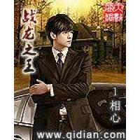 《战龙之王》[54M]百度网盘|亲测有效|pdf下载