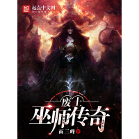 《废土巫师传奇》[26M]百度网盘|亲测有效|pdf下载