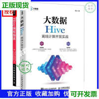 《大数据Hive离线计算开发实战》[27M]百度网盘|亲测有效|pdf下载