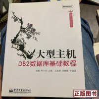 《大型主机DB2数据库基础教程》[23M]百度网盘|亲测有效|pdf下载