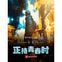 《你我，正待青春时》[39M]百度网盘|亲测有效|pdf下载