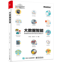 《大数据智能：数据驱动的自然语言处理技术(博文视点出品)》[28M]百度网盘|亲测有效|pdf下载