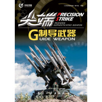《尖端武器装备：尖端制导武器》[25M]百度网盘|亲测有效|pdf下载