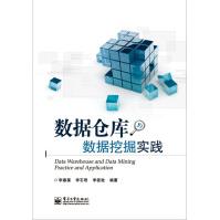 《数据仓库与数据挖掘实践》[30M]百度网盘|亲测有效|pdf下载