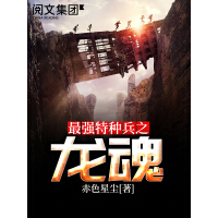 《最强特种兵之龙魂（全集）》[31M]百度网盘|亲测有效|pdf下载