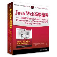 《JavaWeb高级编程-涵盖WebSockets.SpringFrame》[30M]百度网盘|亲测有效|pdf下载