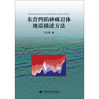 《东营凹陷砂砾岩体地震描述方法（推荐PC阅读）》[20M]百度网盘|亲测有效|pdf下载