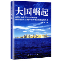《大国崛起》[39M]百度网盘|亲测有效|pdf下载