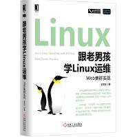 《跟老男孩学Linux运维：Web集群实战》[33M]百度网盘|亲测有效|pdf下载