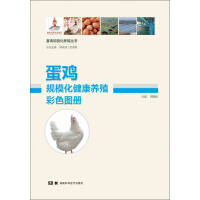 《蛋鸡规模化健康养殖彩色图册（畜禽规模化养殖丛书）》[27M]百度网盘|亲测有效|pdf下载