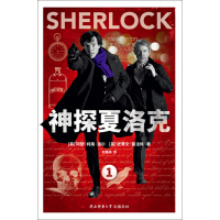 《神探夏洛克．1》[37M]百度网盘|亲测有效|pdf下载