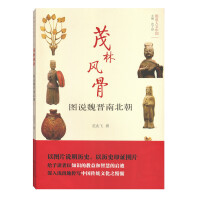 《图说人文中国·茂林风骨：图说魏晋南北朝》[34M]百度网盘|亲测有效|pdf下载