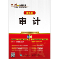 《审计（图解版）》[42M]百度网盘|亲测有效|pdf下载