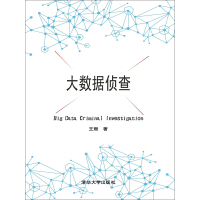 《大数据侦查》[38M]百度网盘|亲测有效|pdf下载