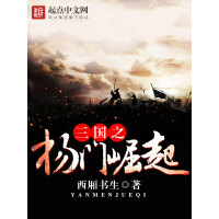 《三国之杨门崛起》[44M]百度网盘|亲测有效|pdf下载