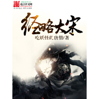 《经略大宋》[38M]百度网盘|亲测有效|pdf下载