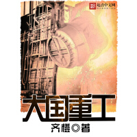 《大国重工》[30M]百度网盘|亲测有效|pdf下载