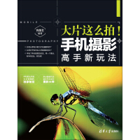 《大片这么拍！手机摄影高手新玩法》[41M]百度网盘|亲测有效|pdf下载