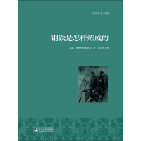 《钢铁是怎样炼成的》[52M]百度网盘|亲测有效|pdf下载