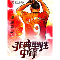 《非典型性中锋》[43M]百度网盘|亲测有效|pdf下载