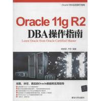 《OraclegR2DBA操作指南》[27M]百度网盘|亲测有效|pdf下载