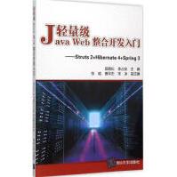 《轻量级JavaWeb整合开发入门》[52M]百度网盘|亲测有效|pdf下载