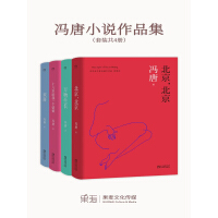 《冯唐小说作品集（北京三部曲+欢喜，套装共4册）》[40M]百度网盘|亲测有效|pdf下载