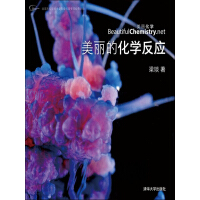 《美丽的化学反应》[55M]百度网盘|亲测有效|pdf下载