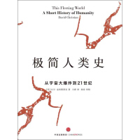 《极简人类史：从宇宙大爆炸到21世纪》[43M]百度网盘|亲测有效|pdf下载