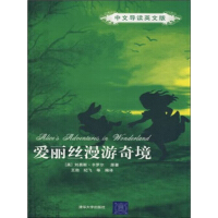 《爱丽丝漫游奇境（中文导读英文版）》[24M]百度网盘|亲测有效|pdf下载