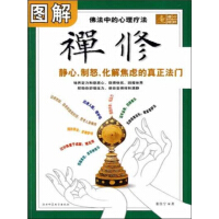《图解禅修：静心、制怒、化解焦虑的真正法门（推荐PC阅读）》[41M]百度网盘|亲测有效|pdf下载