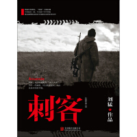 《刺客》[23M]百度网盘|亲测有效|pdf下载