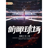 《俯瞰球场》[39M]百度网盘|亲测有效|pdf下载