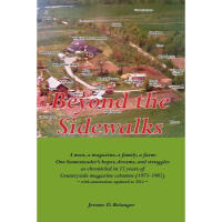 《Beyond the Sidewalks》[39M]百度网盘|亲测有效|pdf下载