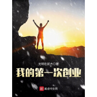 《我的第一次创业》[44M]百度网盘|亲测有效|pdf下载