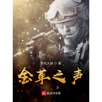 《金革之声》[48M]百度网盘|亲测有效|pdf下载