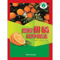 《图解柑橘良种良法》[24M]百度网盘|亲测有效|pdf下载